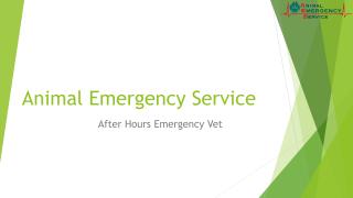 After Hours Emergency Vet.pdf
